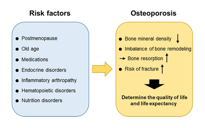 Osteoporosis